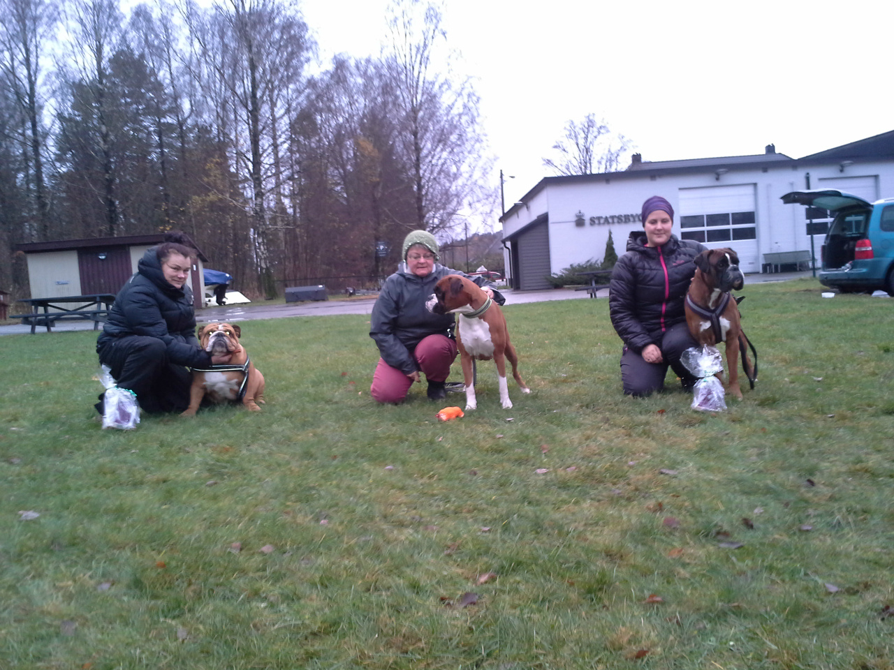 (f.v.) 2.pl valpeklassen bullen Odin, tispeklassen Niva v d Hundestaffel Nord og hannhundklassen Dino (Birkeboxers Hector)